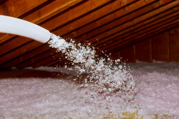 Best Fiberglass Insulation in Sa Conejo, CA